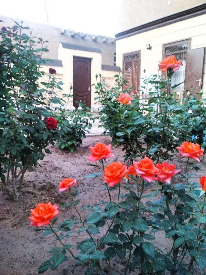 Shodlik Guest House Хива Экстерьер фото